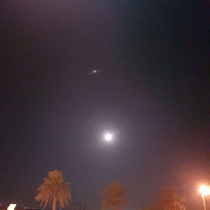 مشاركاتي في أنت الراصد