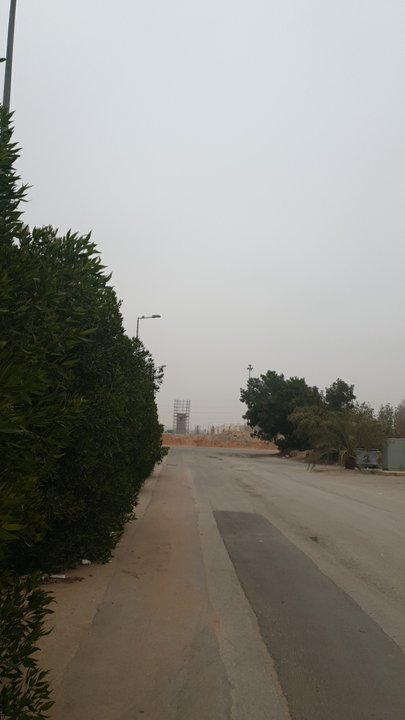 مشاركاتي في أنت الراصد