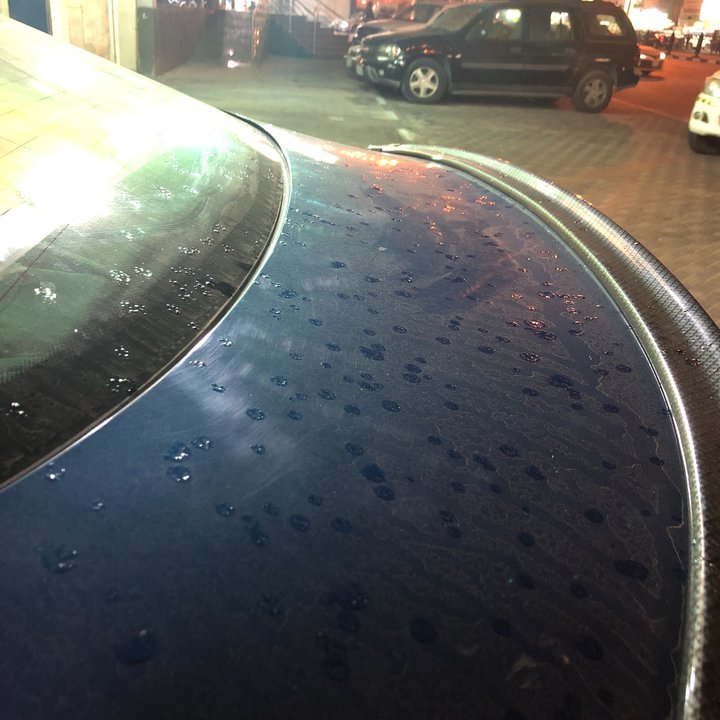 مشاركاتي في أنت الراصد