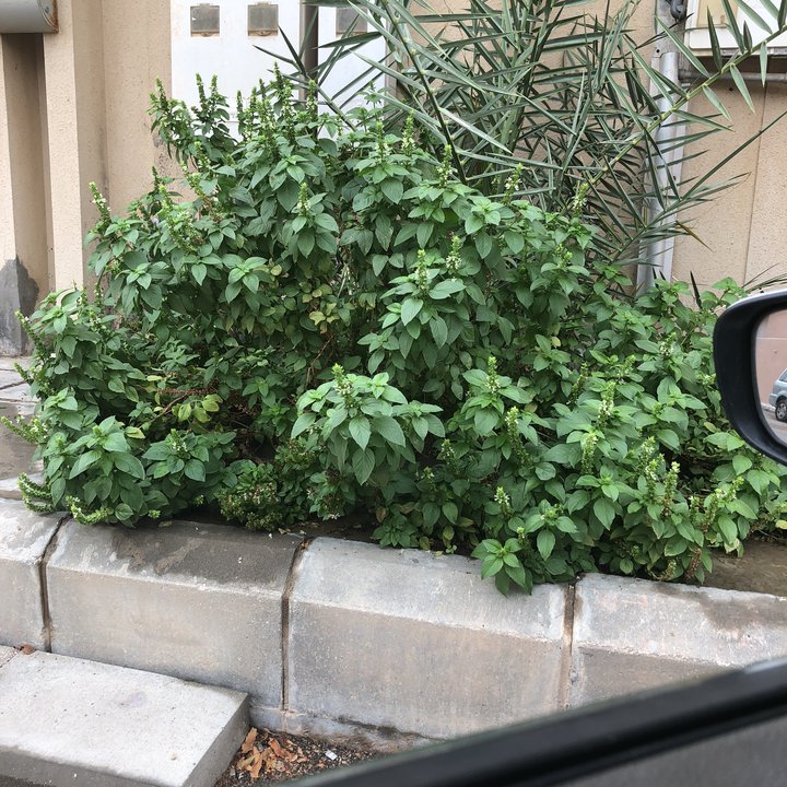 My Crowdsourcing Posts