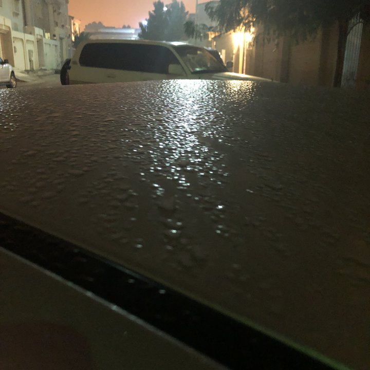 مشاركاتي في أنت الراصد