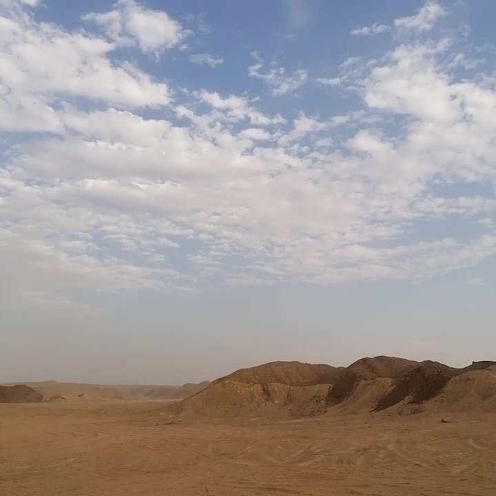 مشاركاتي في أنت الراصد