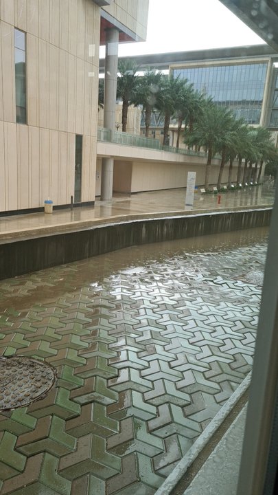 مشاركاتي في أنت الراصد