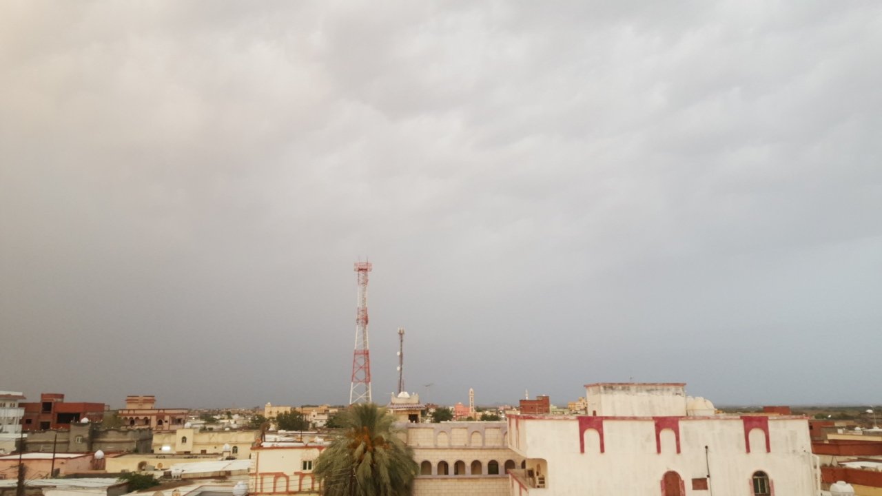 مشاركاتي في أنت الراصد