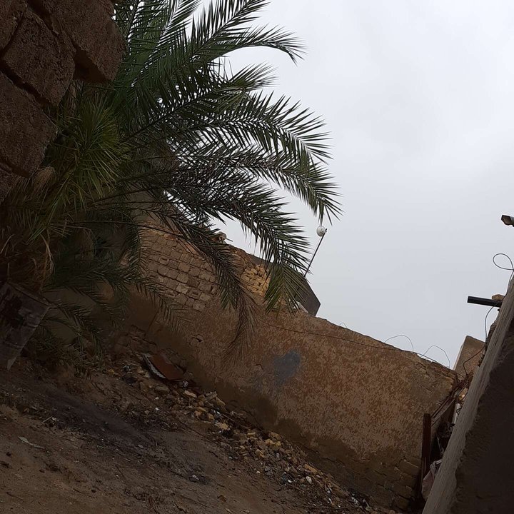 مشاركاتي في أنت الراصد