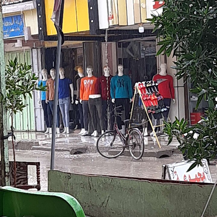 مشاركاتي في أنت الراصد