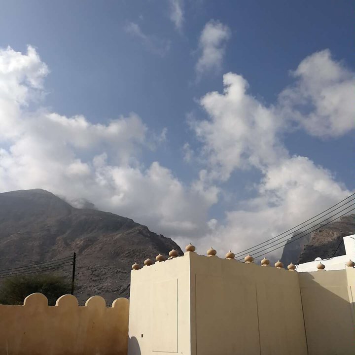 مشاركاتي في أنت الراصد