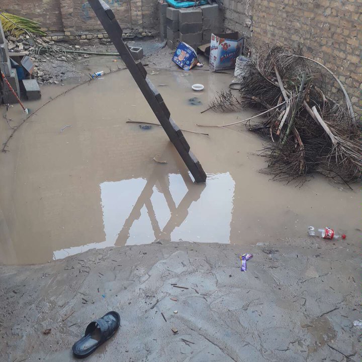 مشاركاتي في أنت الراصد