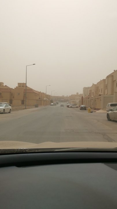 مشاركاتي في أنت الراصد