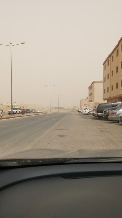 مشاركاتي في أنت الراصد