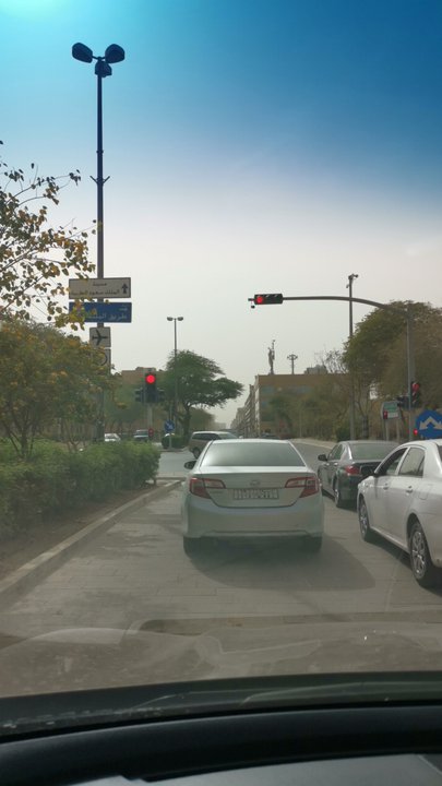 مشاركاتي في أنت الراصد