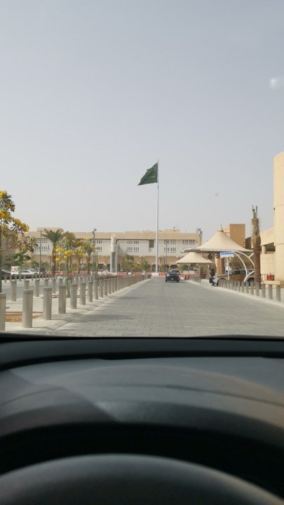 مشاركاتي في أنت الراصد