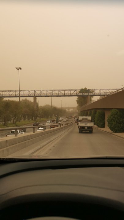 مشاركاتي في أنت الراصد