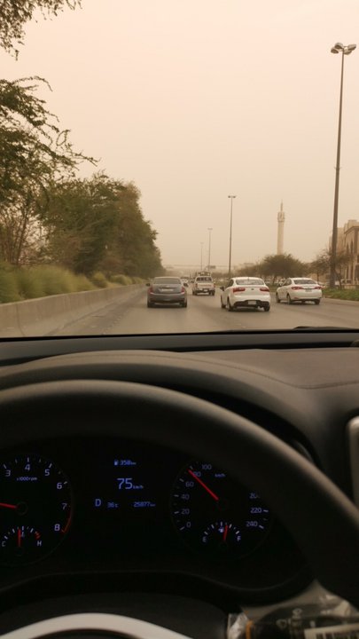 مشاركاتي في أنت الراصد