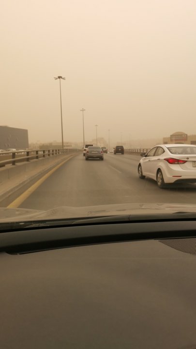 مشاركاتي في أنت الراصد