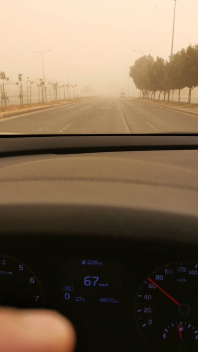 مشاركاتي في أنت الراصد