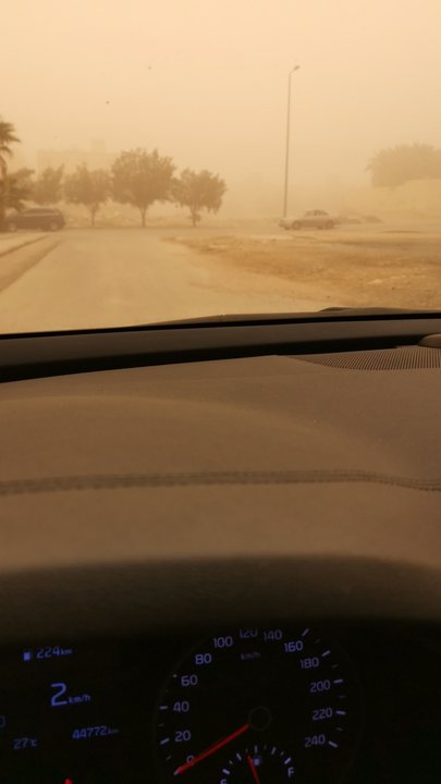 مشاركاتي في أنت الراصد