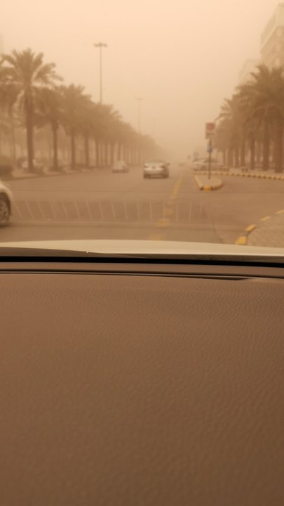 مشاركاتي في أنت الراصد