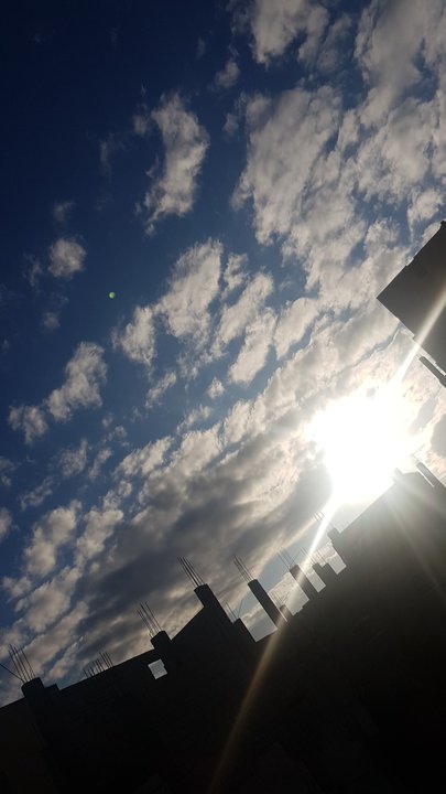 مشاركاتي في أنت الراصد