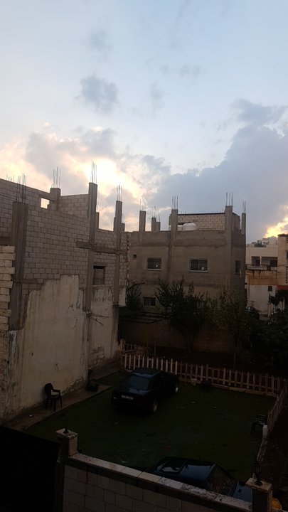 مشاركاتي في أنت الراصد