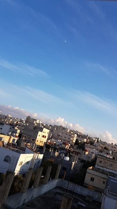 مشاركاتي في أنت الراصد