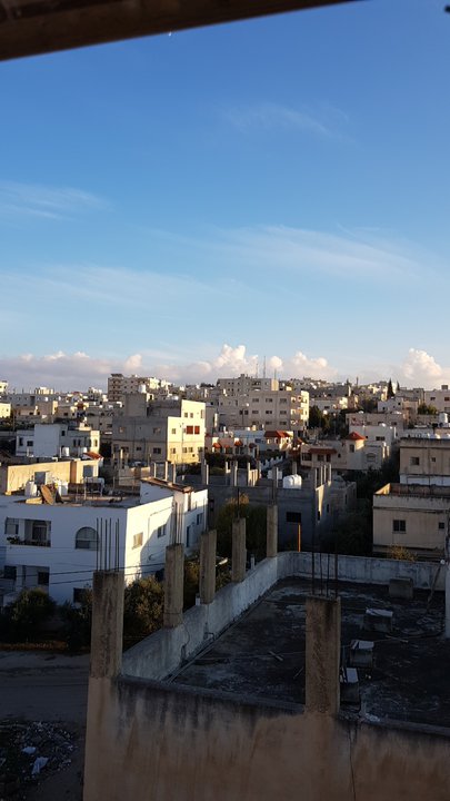 مشاركاتي في أنت الراصد