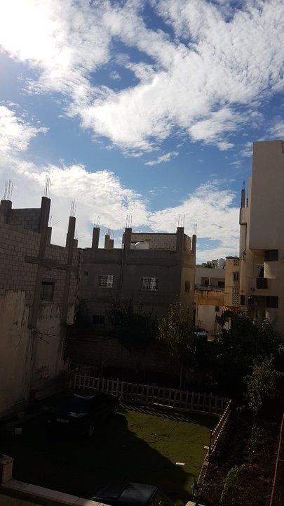 مشاركاتي في أنت الراصد