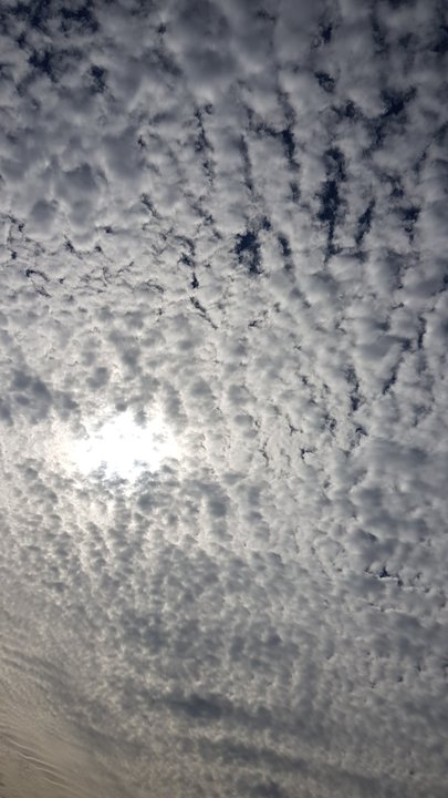 مشاركاتي في أنت الراصد