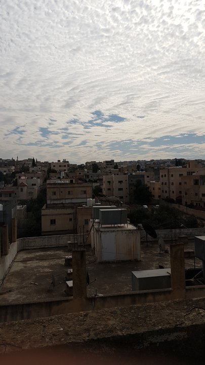 مشاركاتي في أنت الراصد