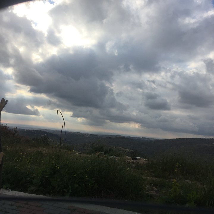 مشاركاتي في أنت الراصد