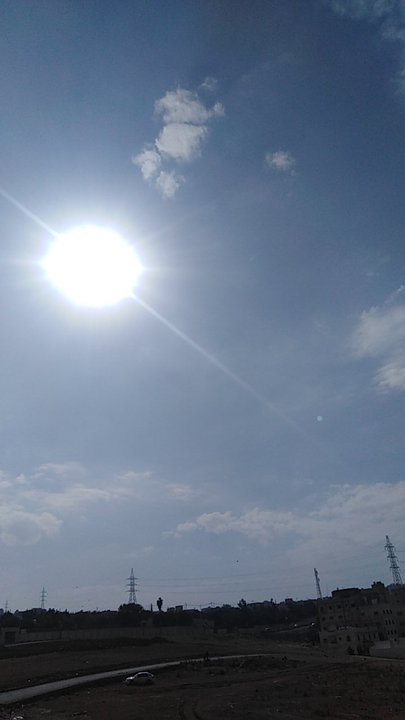 مشاركاتي في أنت الراصد