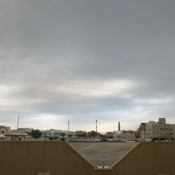 مشاركاتي في أنت الراصد