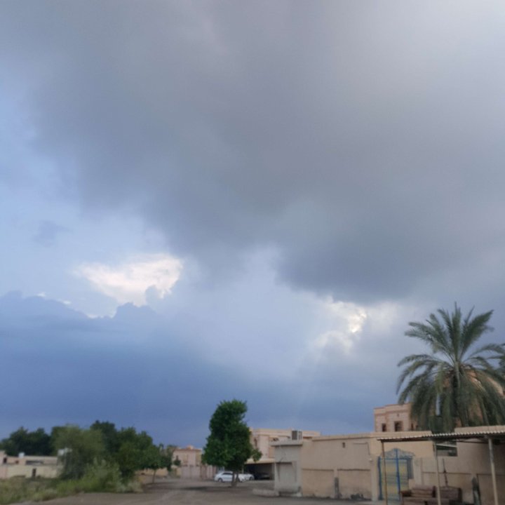 مشاركاتي في أنت الراصد