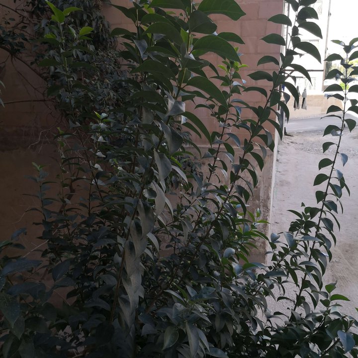 My Crowdsourcing Posts