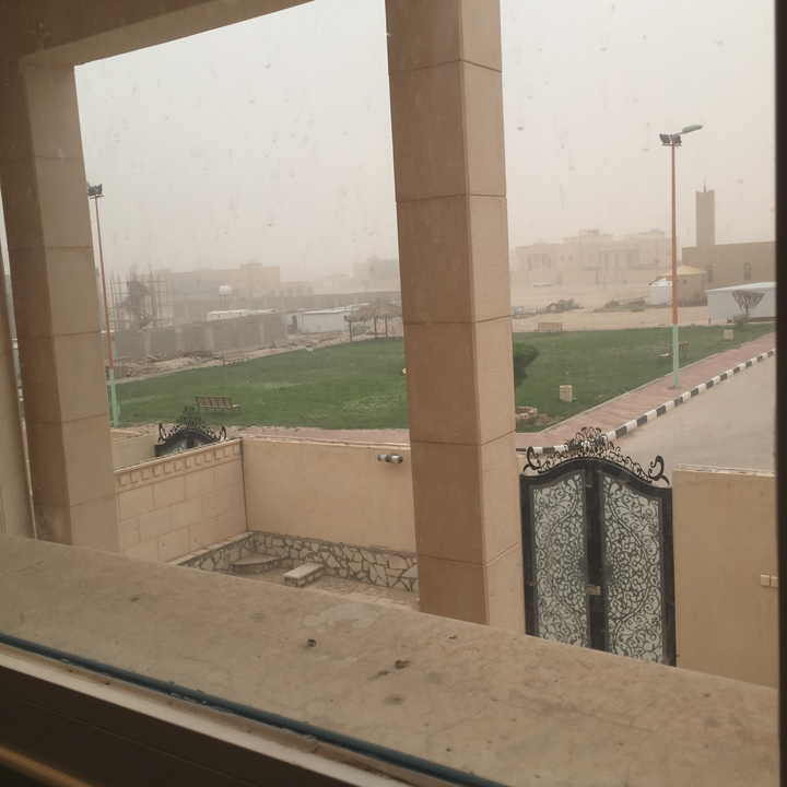 مشاركاتي في أنت الراصد