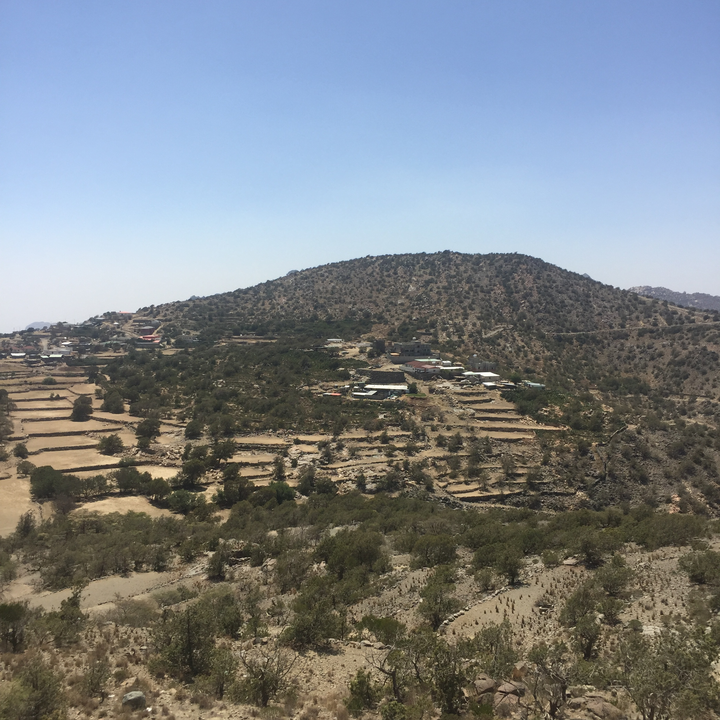 مشاركاتي في أنت الراصد