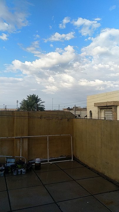 مشاركاتي في أنت الراصد