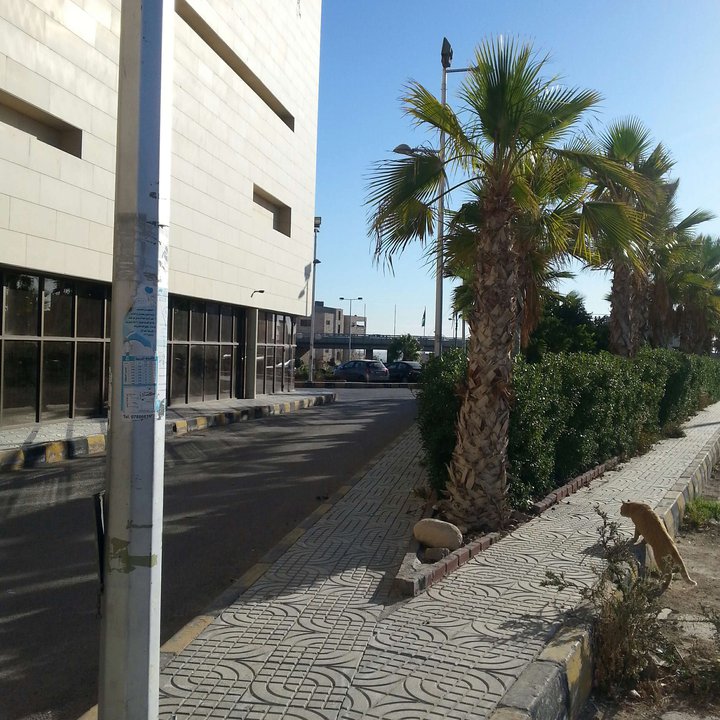 My Crowdsourcing Posts