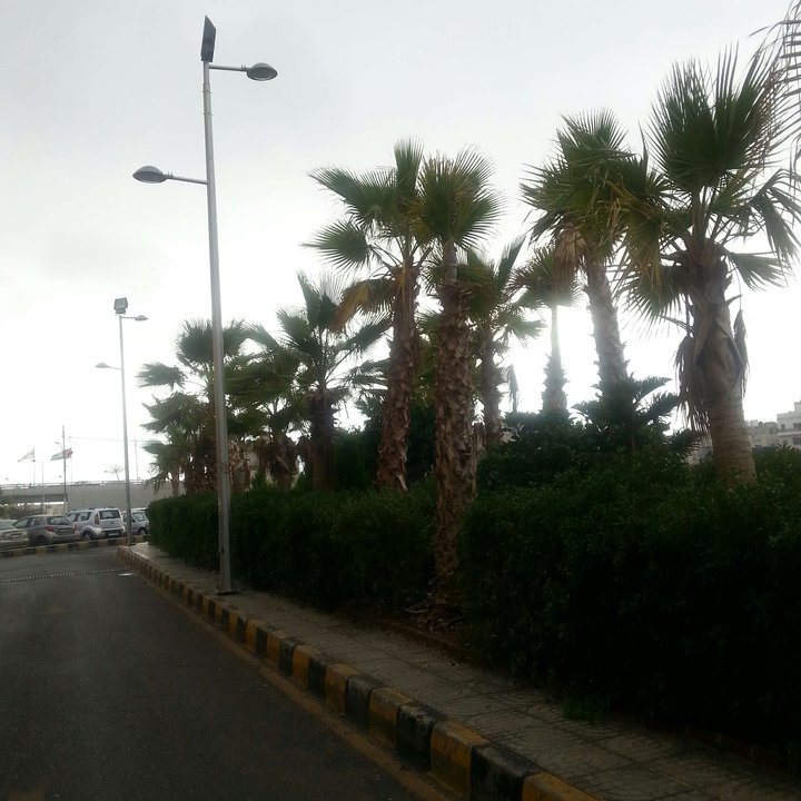 My Crowdsourcing Posts