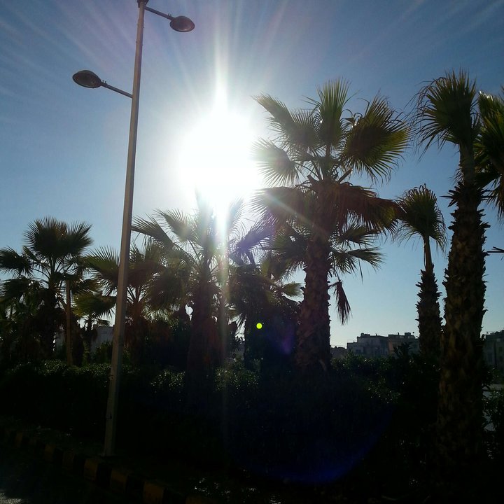 My Crowdsourcing Posts