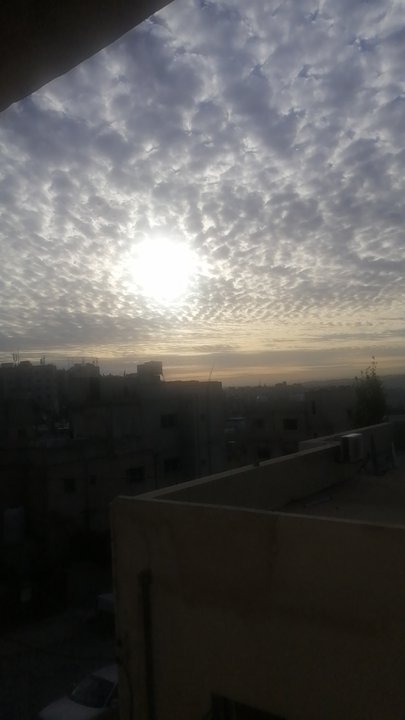 مشاركاتي في أنت الراصد