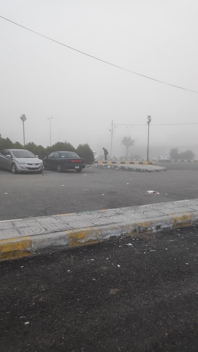 مشاركاتي في أنت الراصد