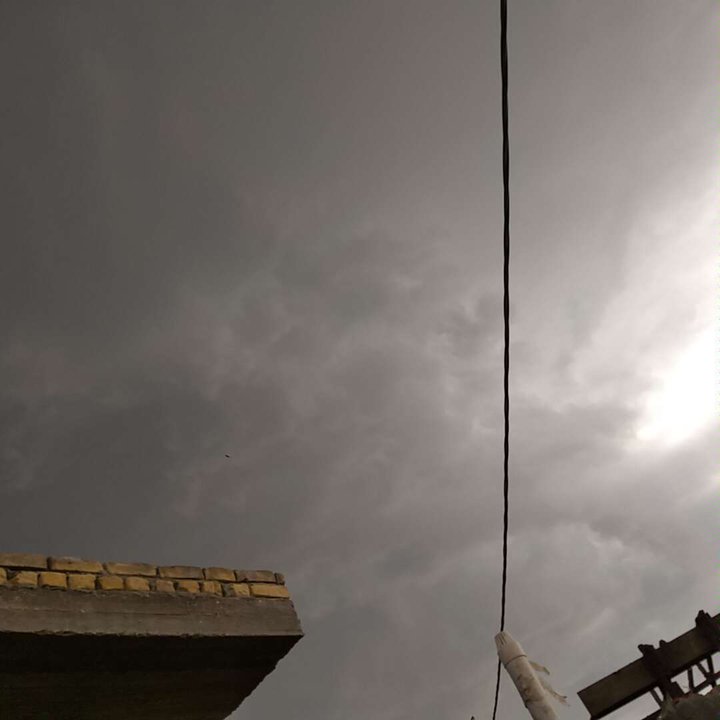 مشاركاتي في أنت الراصد