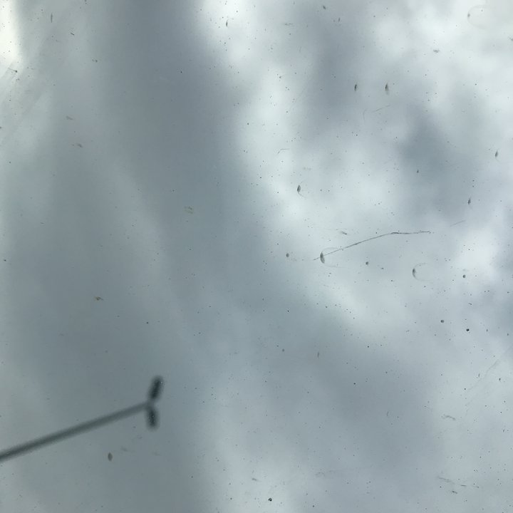 مشاركاتي في أنت الراصد