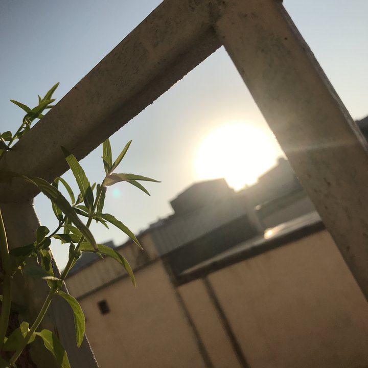 My Crowdsourcing Posts