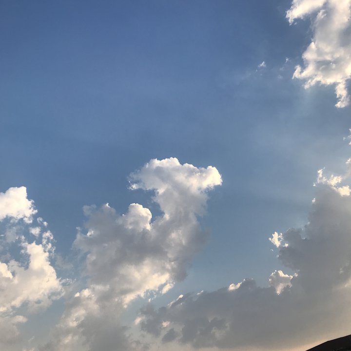 مشاركاتي في أنت الراصد