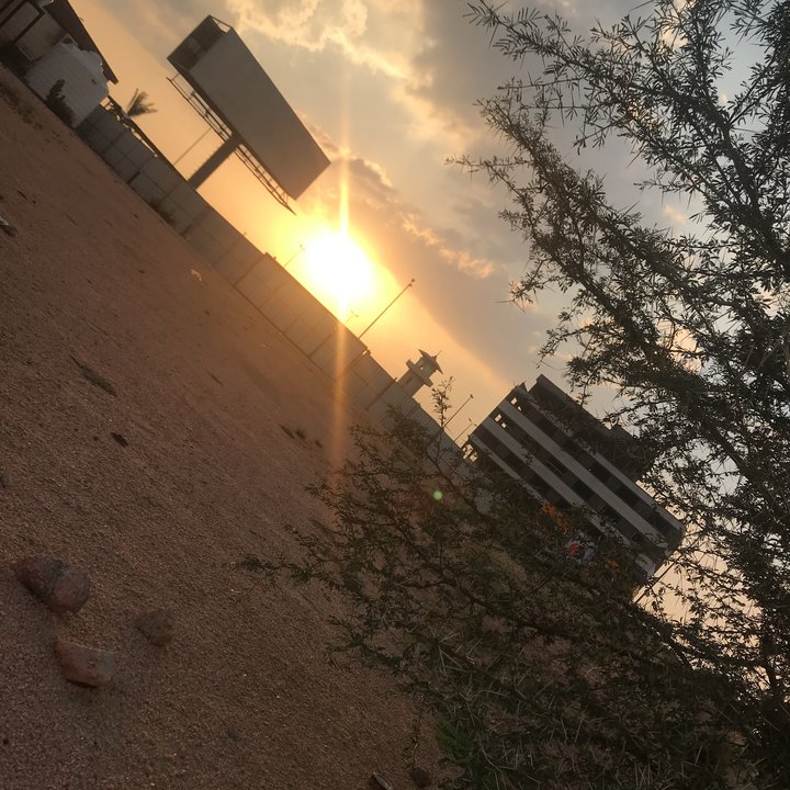 مشاركاتي في أنت الراصد