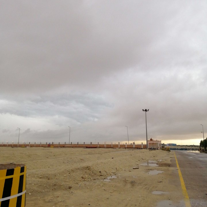 مشاركاتي في أنت الراصد