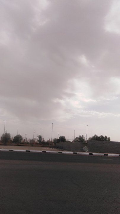 مشاركاتي في أنت الراصد