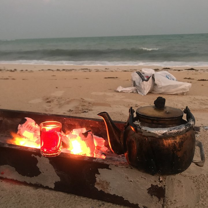 مشاركاتي في أنت الراصد